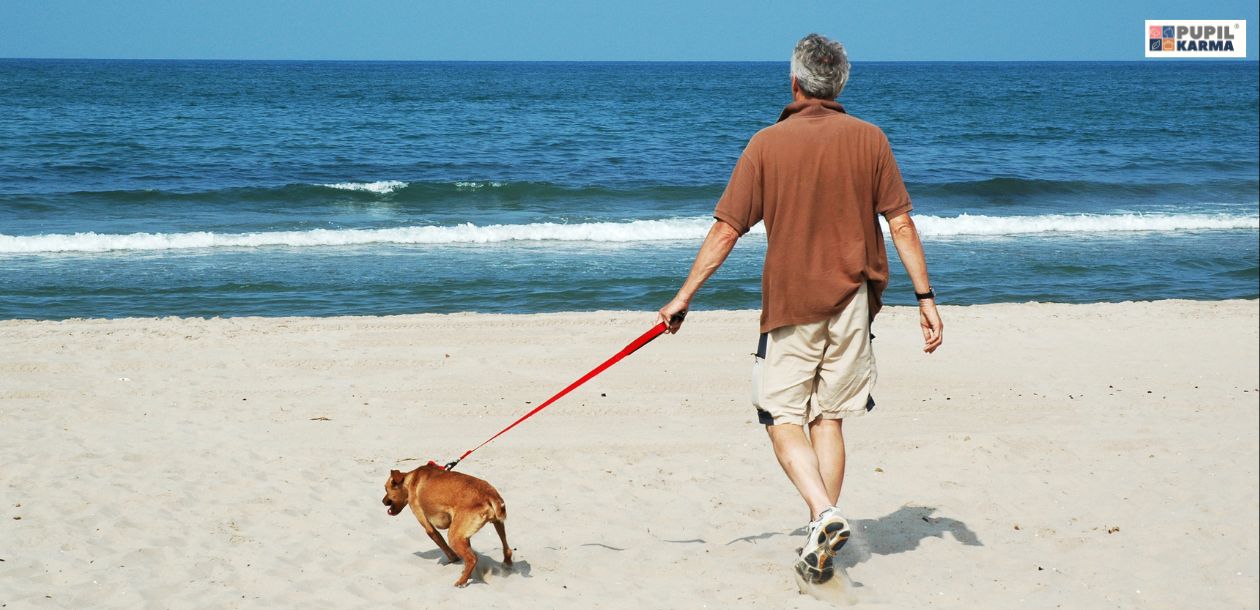 Na zdjęciu widać mężczyznę spacerującego z psem po plaży. Pies ciągnie na smyczy, prowadząc mężczyznę w stronę wody. Obaj są skierowani w stronę morza, które spokojnie rozciąga się w tle. W prawym górnym rogu widnieje logo pupilkarma.